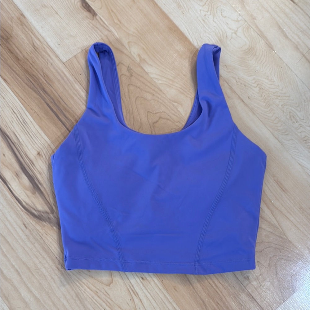 BuffBunny Purple Sport Bra